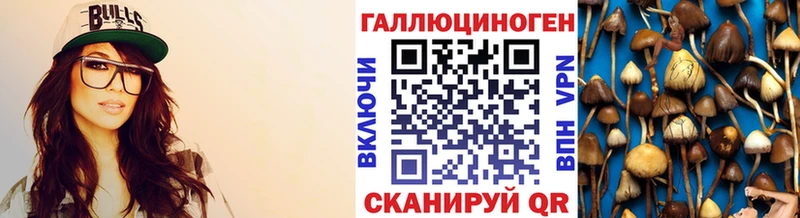 сколько стоит  Шимановск  Галлюциногенные грибы Psilocybine cubensis 